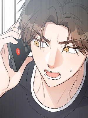 Compañero de una noche