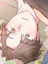 Compañero de una noche